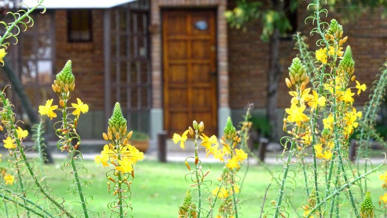 Cabanas Agua Que Brilla Мина Клаверо Екстериор снимка
